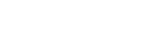 logo bionice